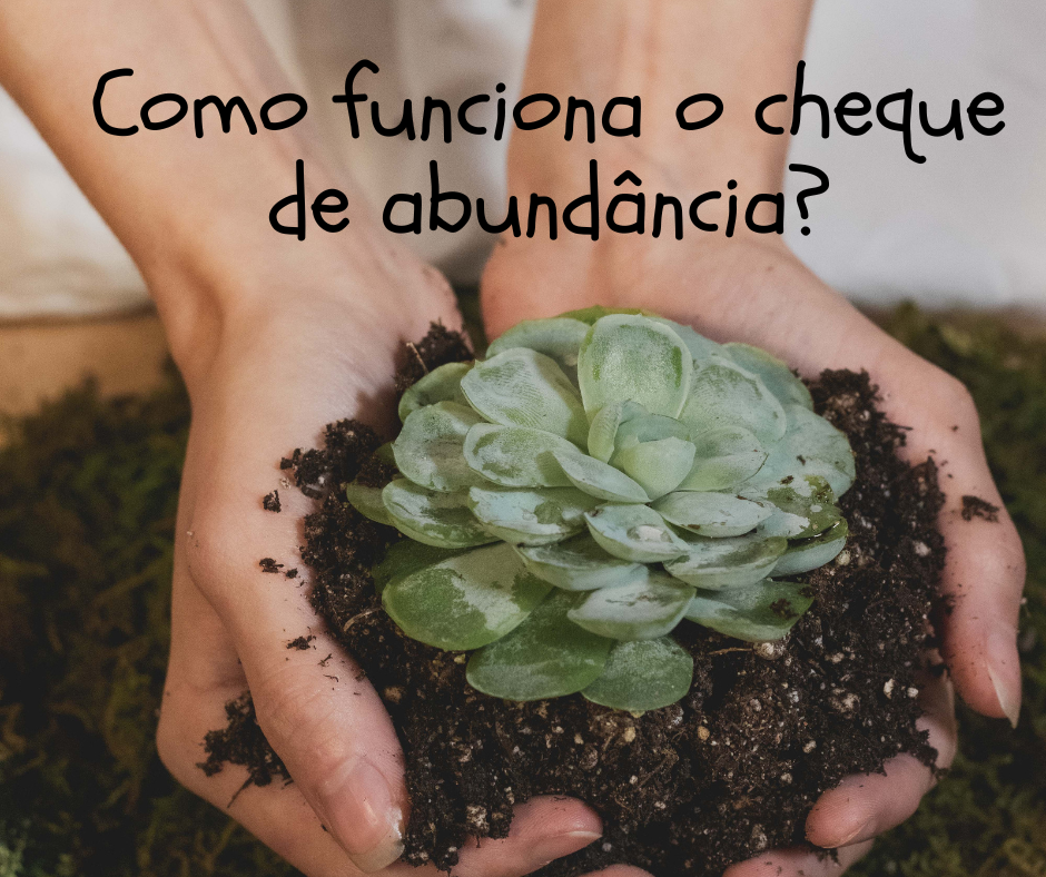 Como funciona o cheque de abundância?