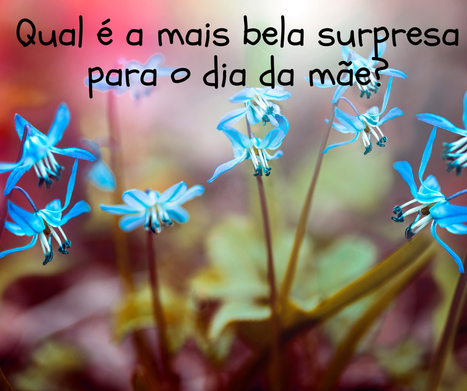 Qual é a mais bela surpresa para o dia da mãe?