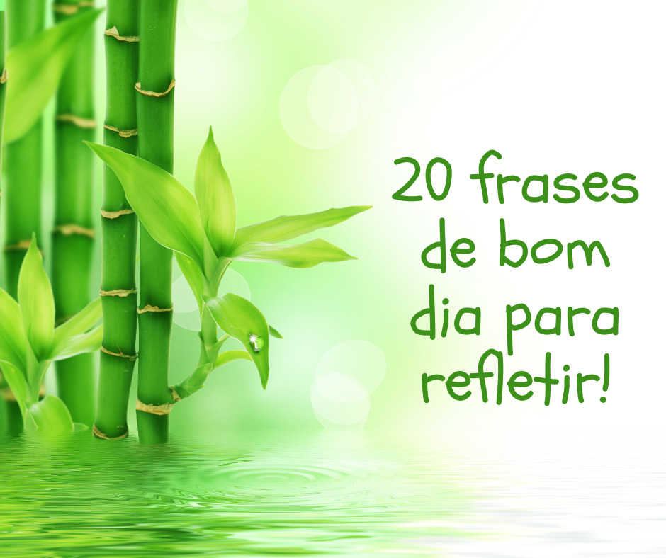 20 frases de bom dia para refletir!