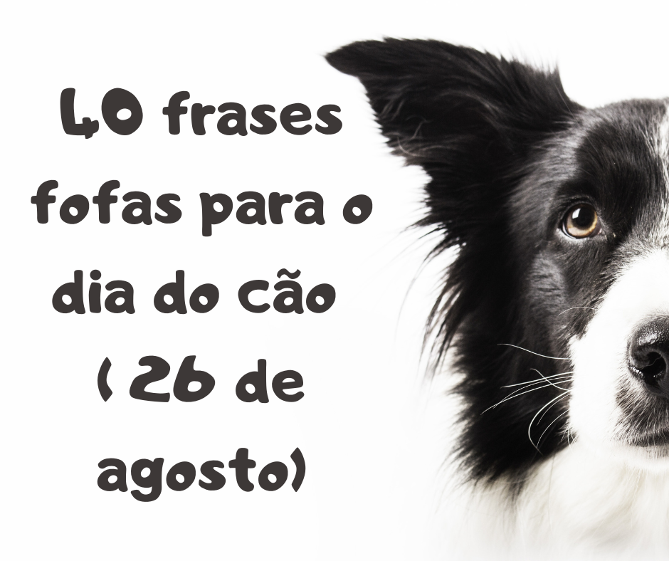 40 frases fofas para o dia do cão (26 de agosto)