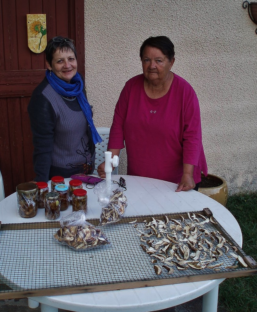 Monique et Solange, championnes de la cueillette de champignons.