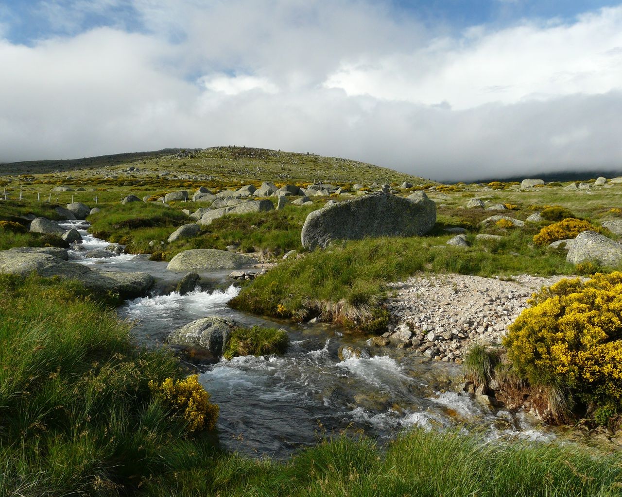 Un cours d'eau sur le Mont Lozère