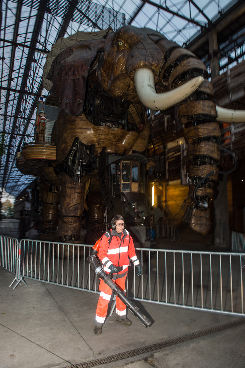 Nettoyage du site des machines de l’Ile, Nantes - Cleaning of the Great Elephant’s area at «Les Machines de l’Île » / Véolia Propreté (2016)