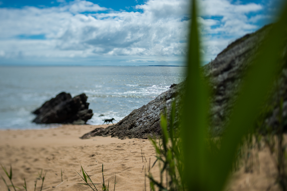 Préfailles (44) - Sea-side