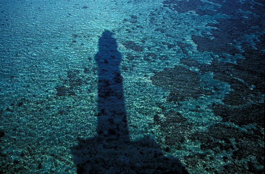 Egypte, phare Abu Kizan - Red Sea / La Baleine Blanche (2000)