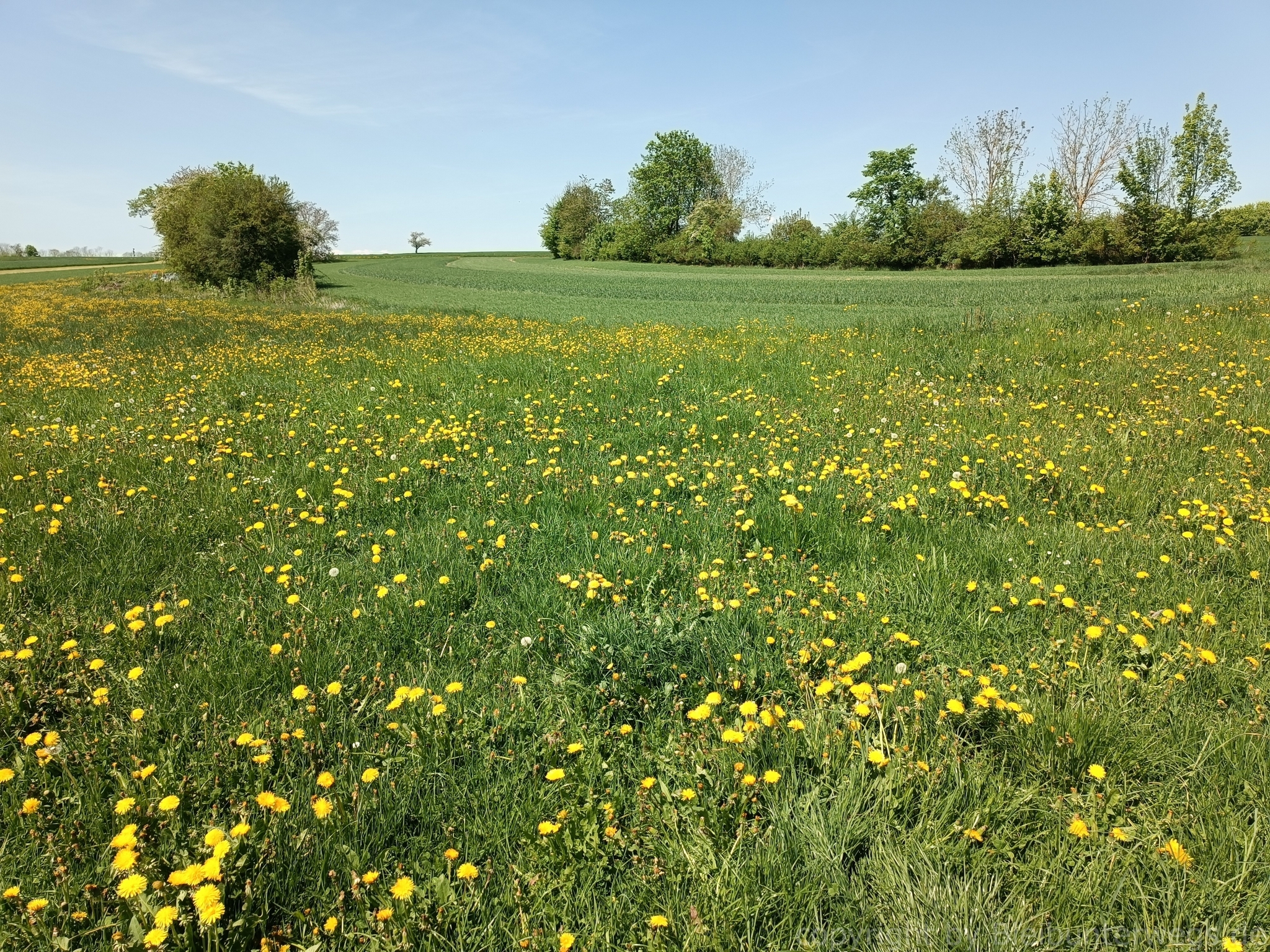 Kleine Wanderung