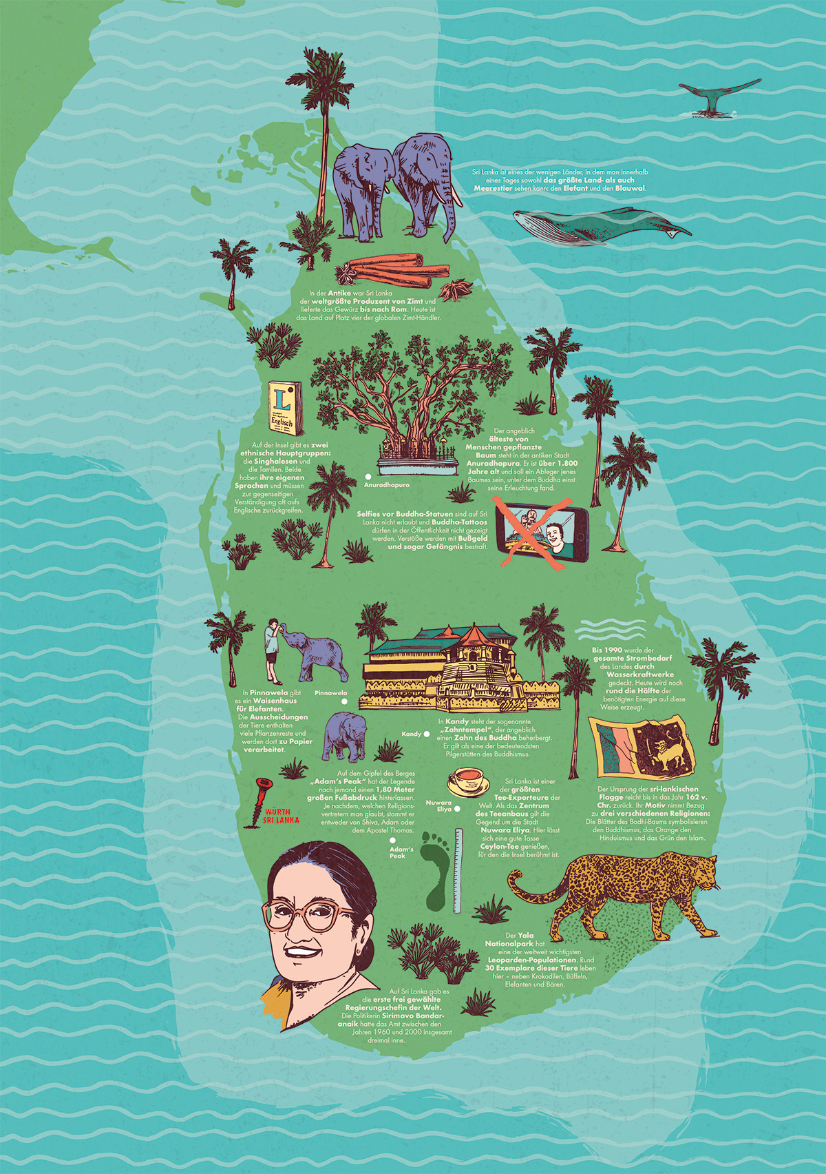 Illustrierte Karte von Sri Lanka - Marina Schilling – Illustration