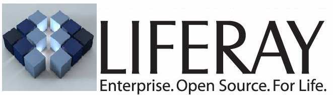 EKXEL IT Services  Luxembourg Jobs Liferay Java J2EE Developper permanent position for immediate start