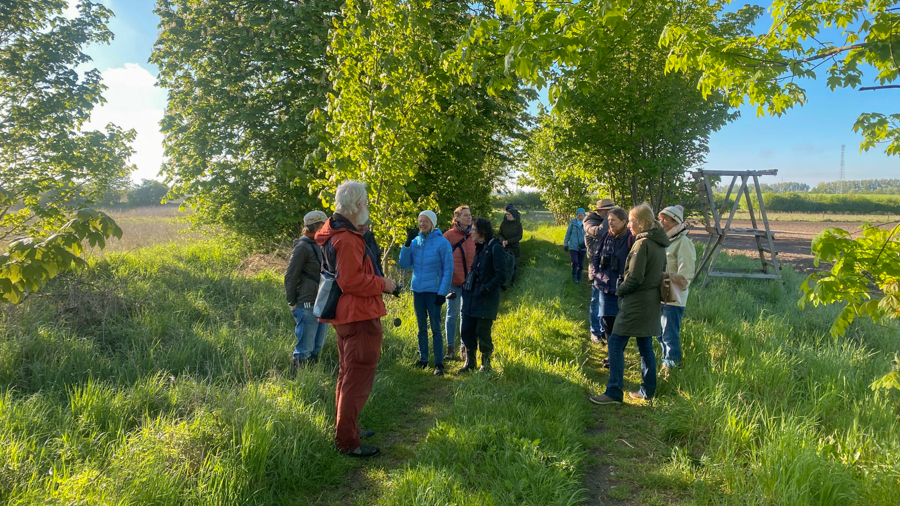 Vogelstimmenwanderung am Kuppentiner Landweg