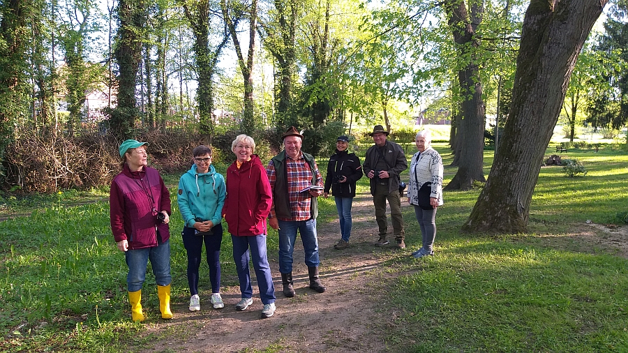 Vogelstimmenwanderung auf dem Plauer Friedhof