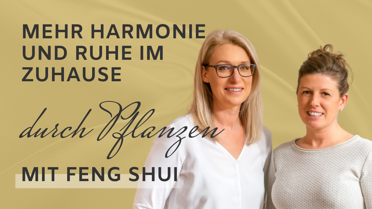 Mehr Harmonie und Ruhe im Zuhause durch Pflanzen mit Feng Shui