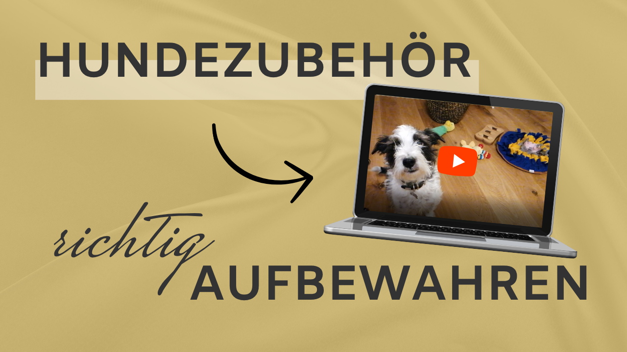 Hundezubehör richtig aufbewahren – von Leckerli bis Leine