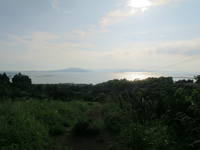 有明海に面している甘夏の畑　鶴田有機農園