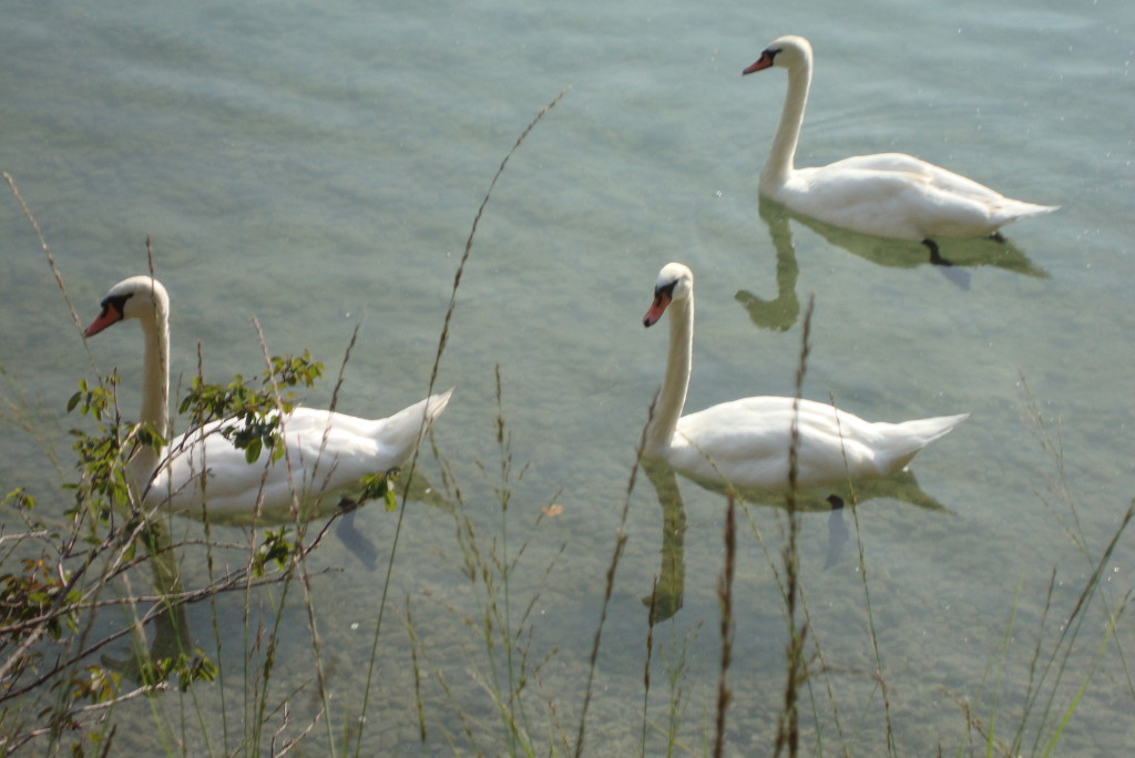 Fuschlsee