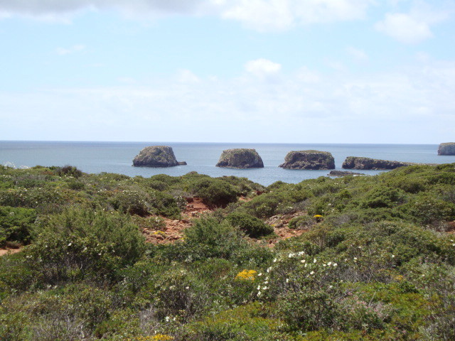 Praia Martinhal - Sagres.