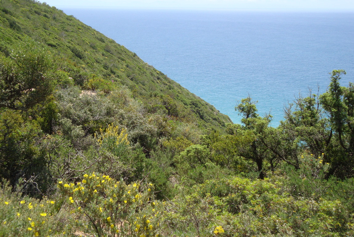 Atlantik bei Natur-Park "De las Breñas".