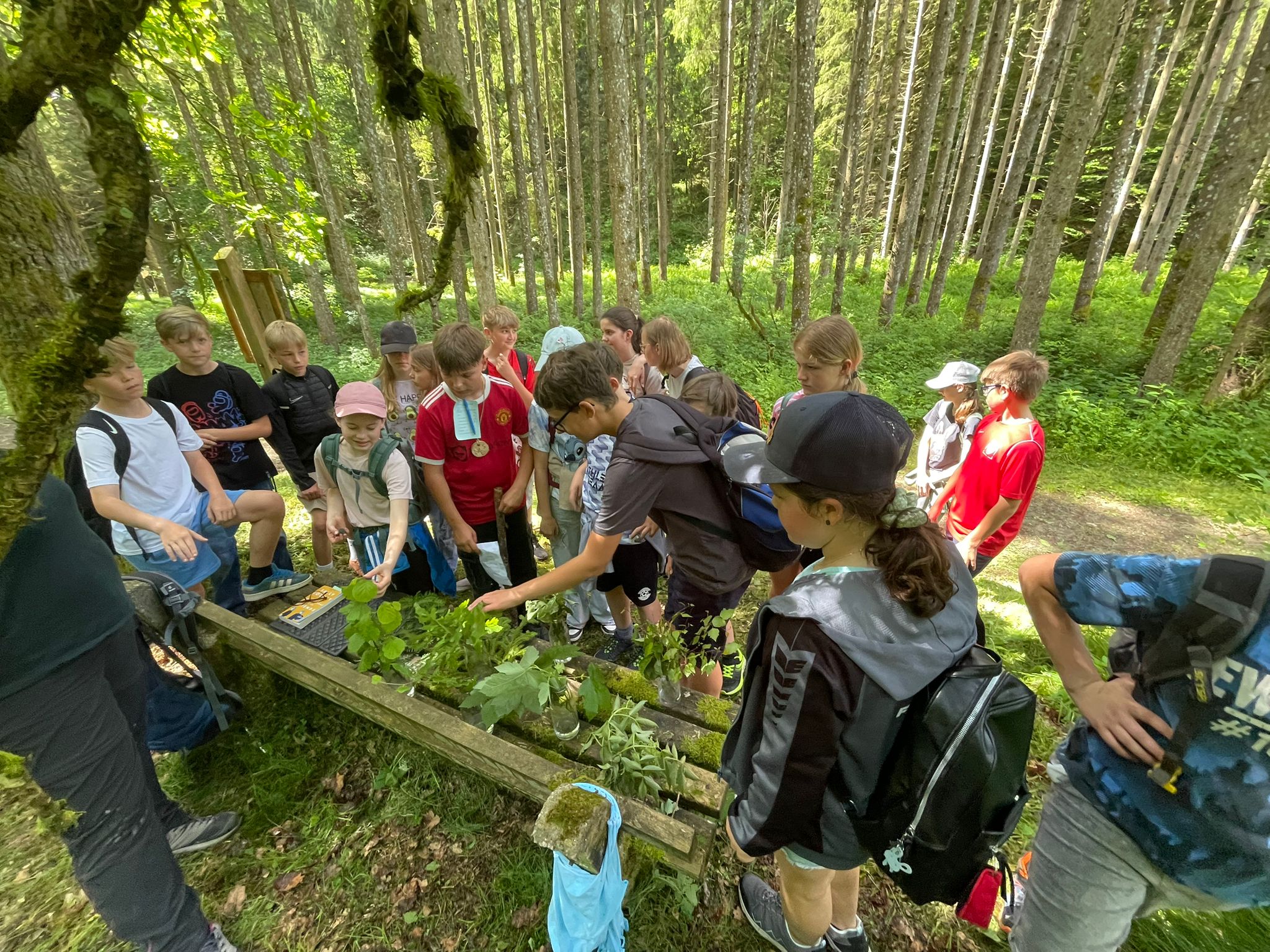 2. Klassen: Naturerlebnisspiele Haslach