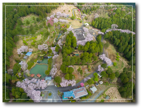 上空から見た奥山高原