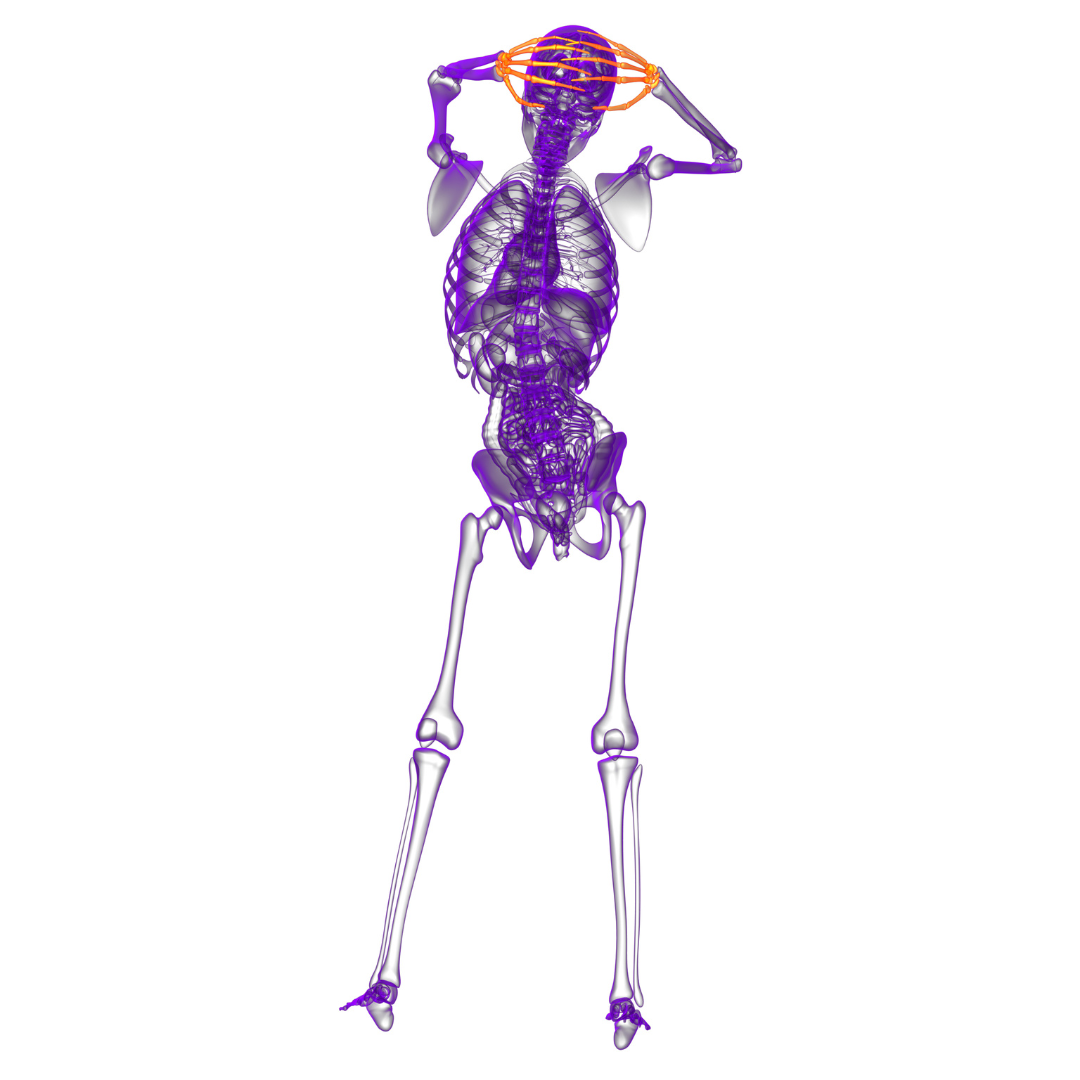 Fibromyalgie - wie bitte?