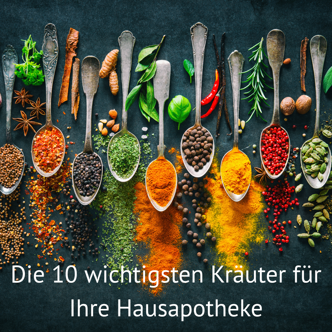 Die 10 wichtigsten Kräuter für Ihre  Hausapotheke