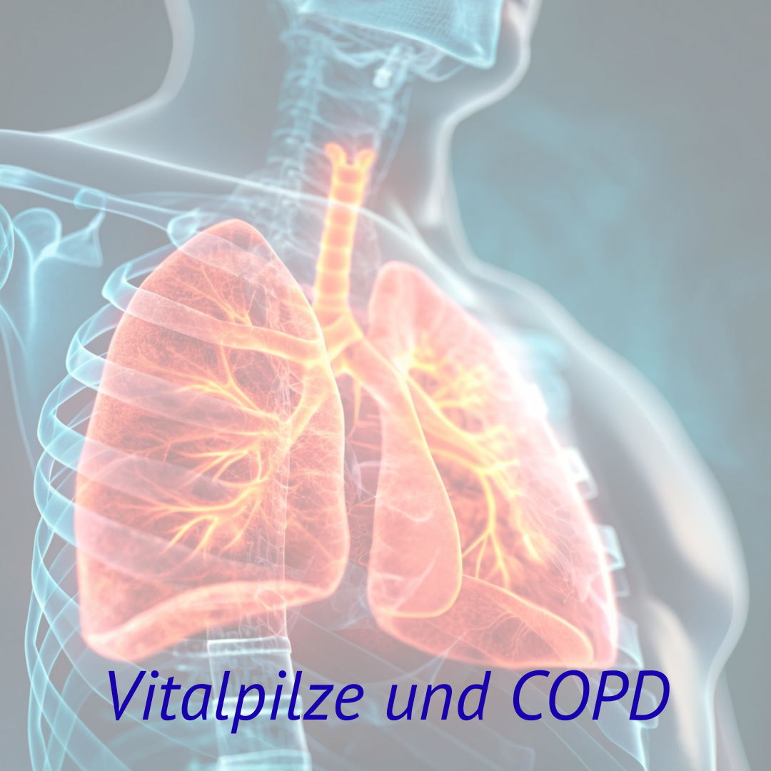 Vitalpilze und COPD – gibt es einen Nutzen für Betroffene?