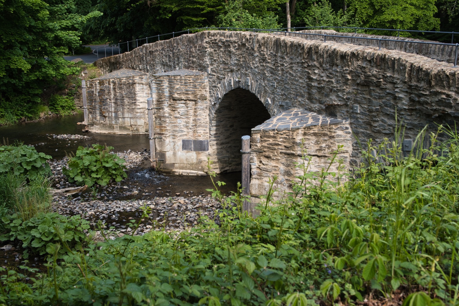 Fotografische Wanderung in Marienstatt