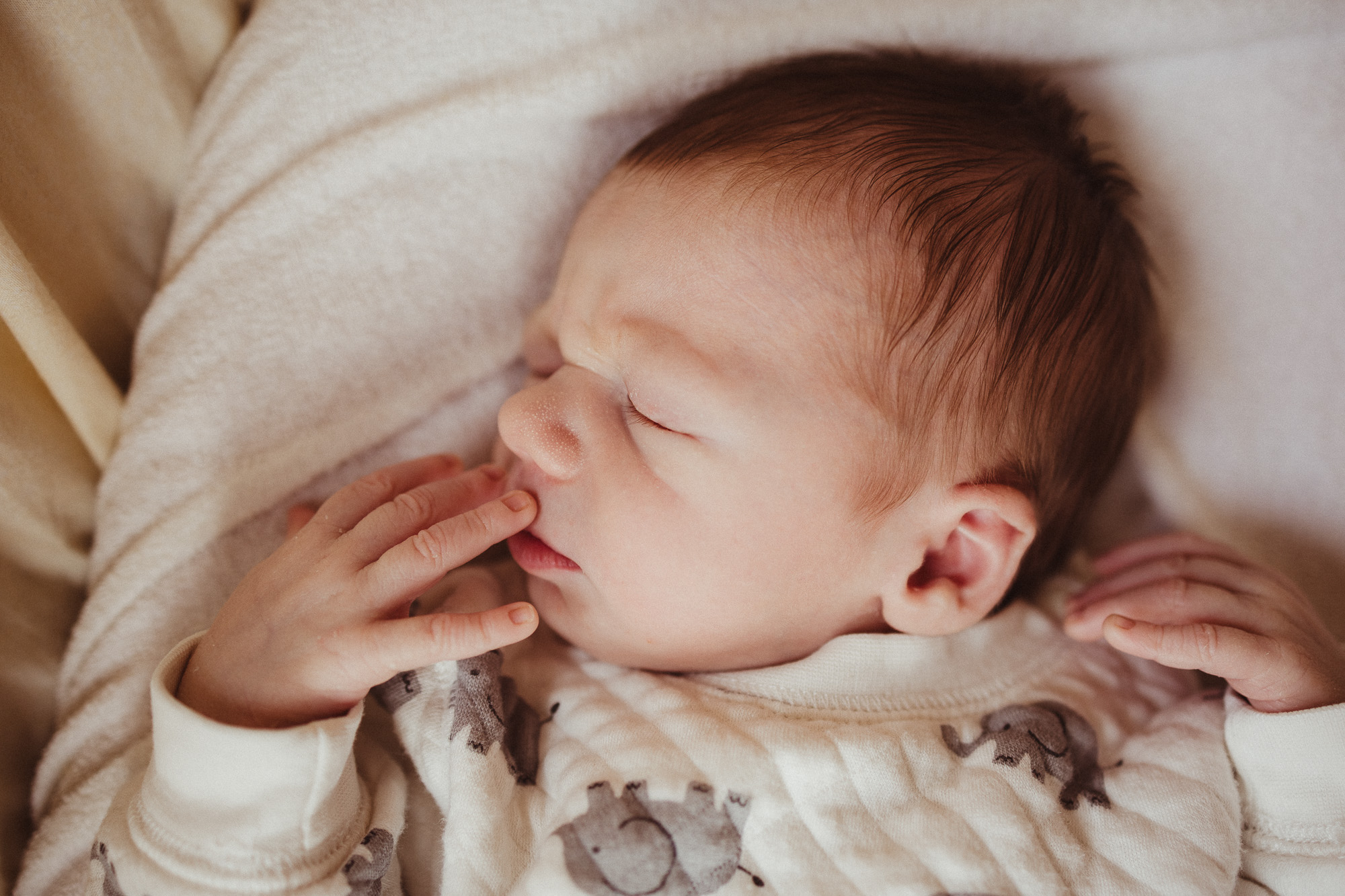 Babyfotoshooting