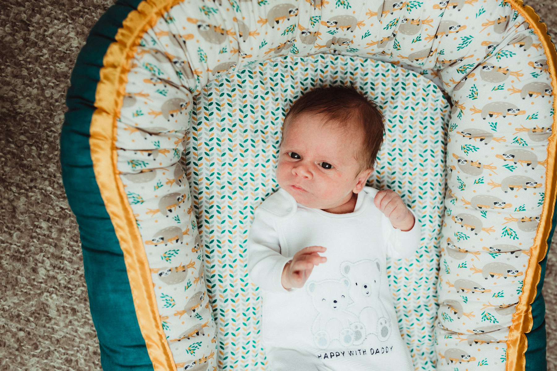 Baby im Nestchen