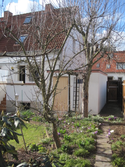 Gartenansicht + Garage