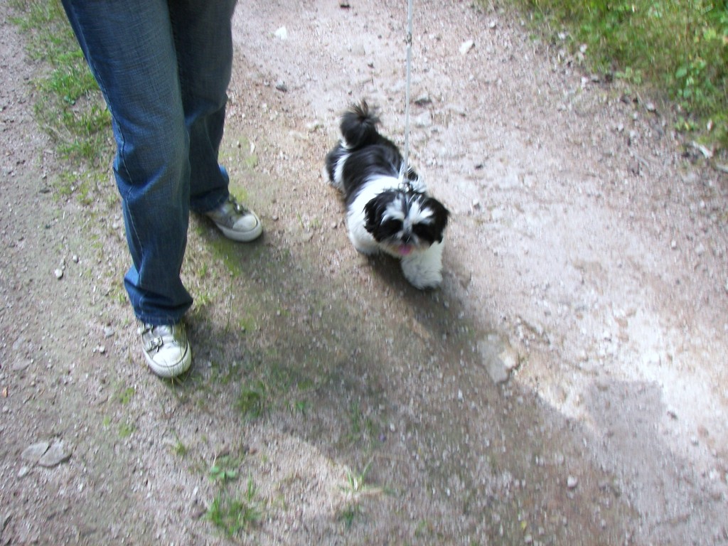 DANAE EN PROMENADE