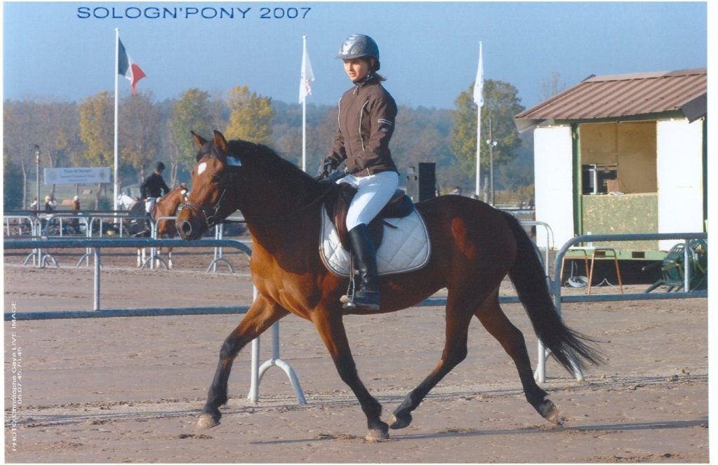 Quelly Pearl : Sologn'Pony 2007, vice championne de Fr 3 ans montés femelle NF