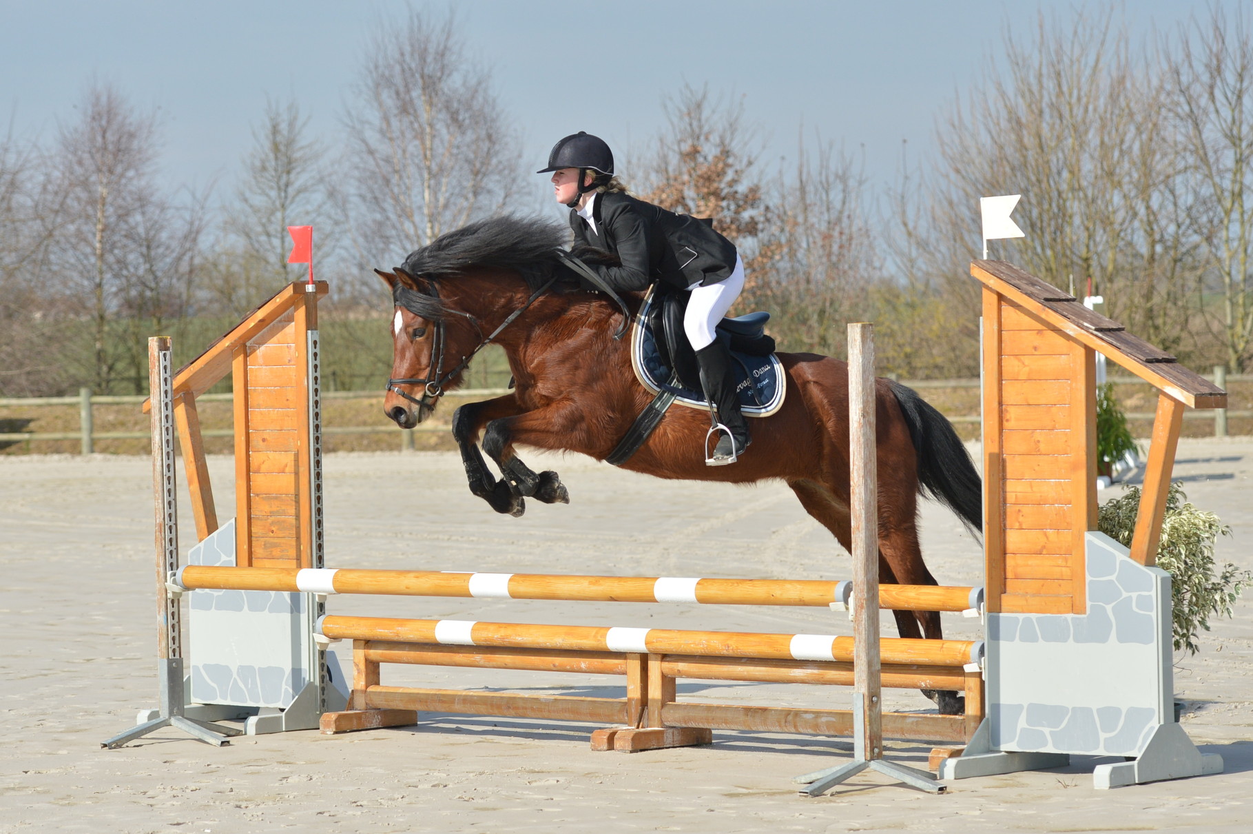 Quelly Pearl : Mars 2014, TDA Bonneval Milsay Jump, 2ème Poney 2.