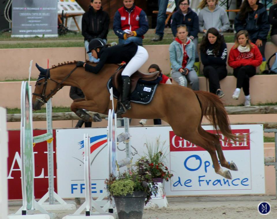 Reality Pearl, femelle New-Forest, vice championne de Fr As Poney 2D, 2014