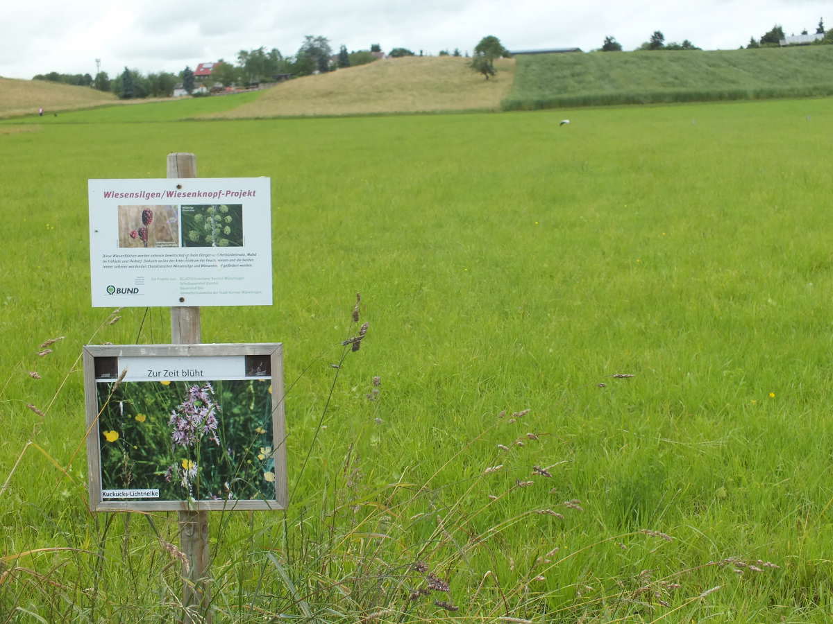 Gschnaidt-Wiesen (Foto: Ohl)