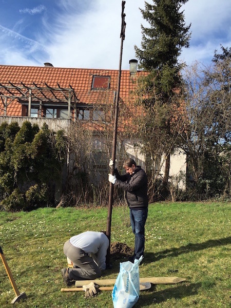 Eingraben der Jule