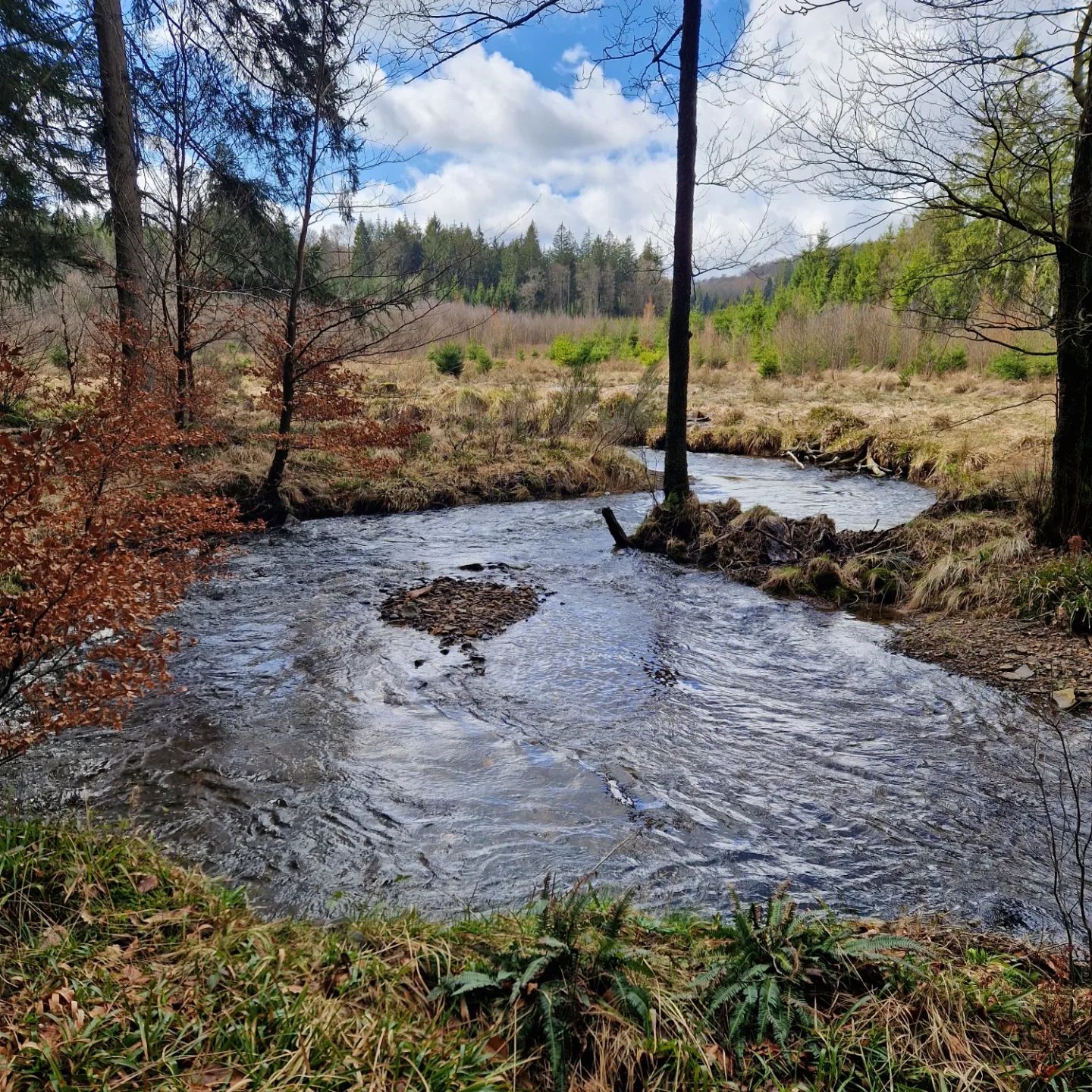 Nieuwe routes gelopen Ardennen