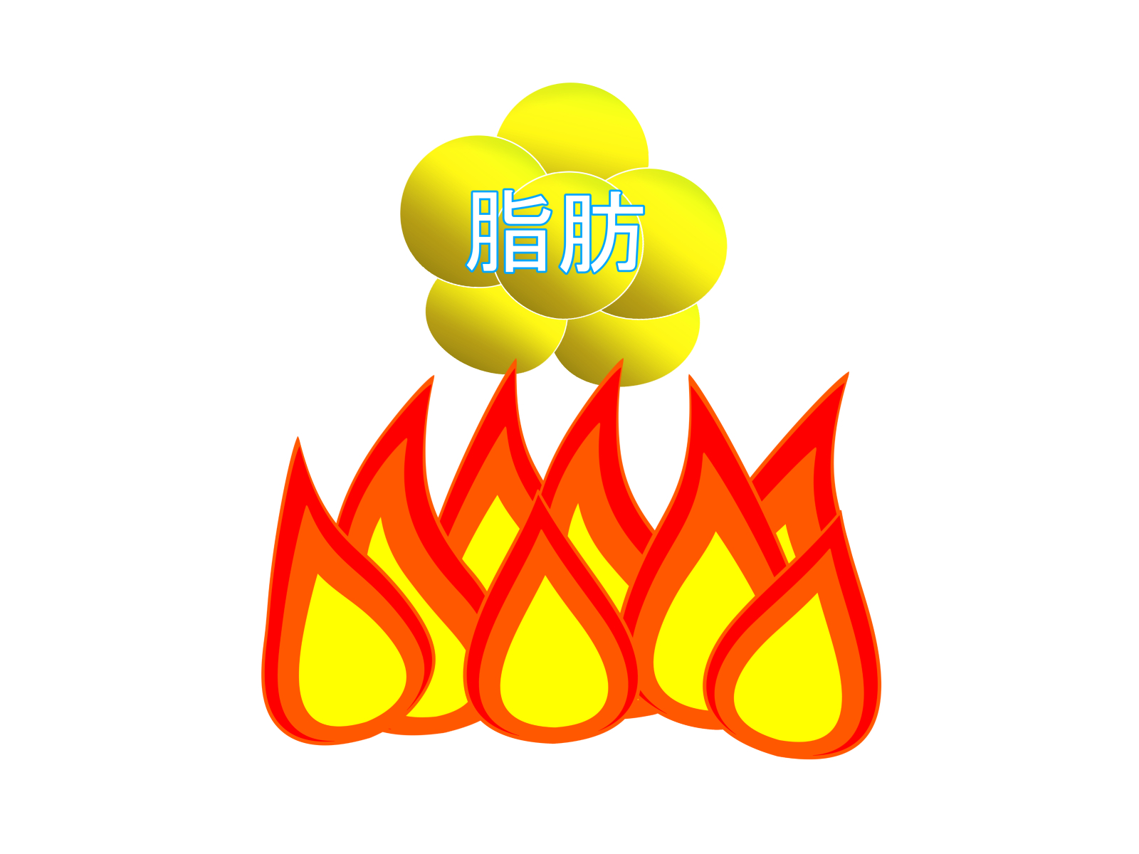 体脂肪を燃焼しやすい体質を手に入れるためには