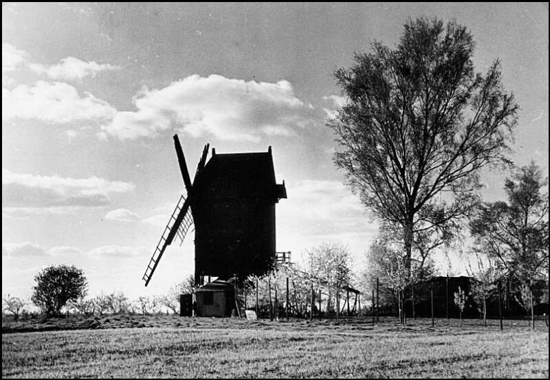 Das Geheimnis der Mühle