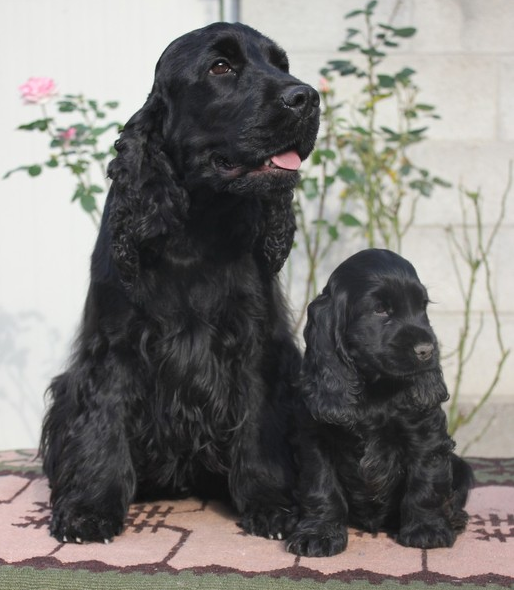 mamma Harmony e la figlia Melody a 65 giorni.