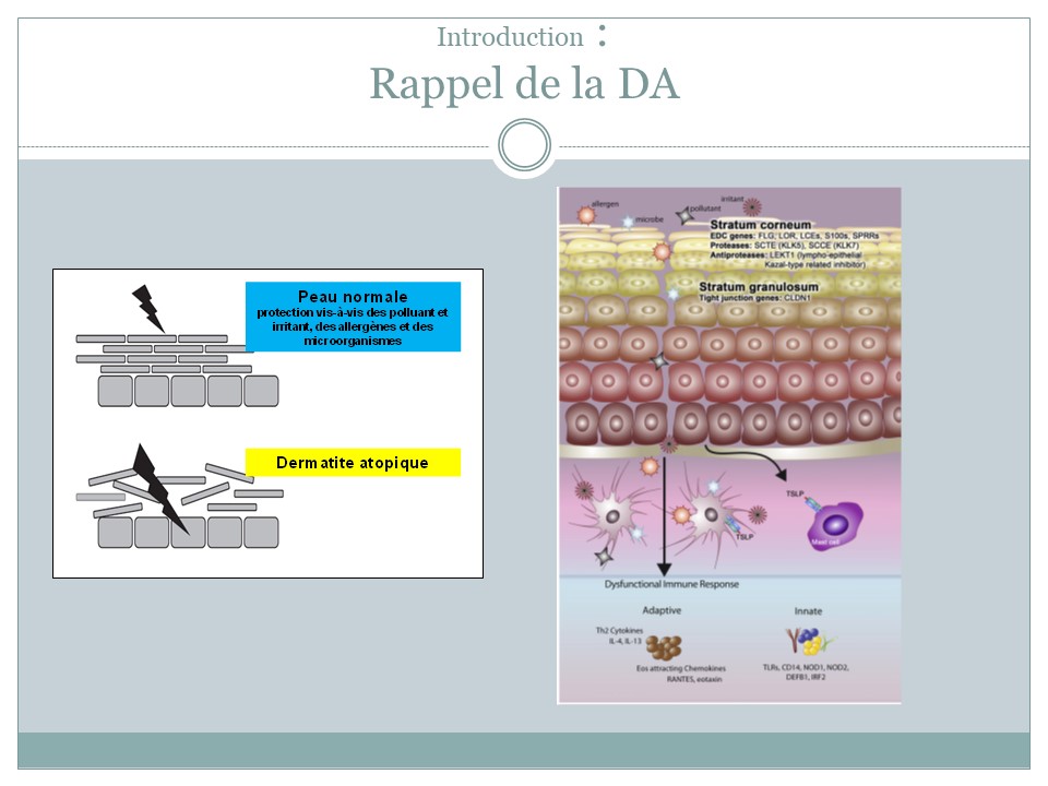 education therapeutique pour dermatologues