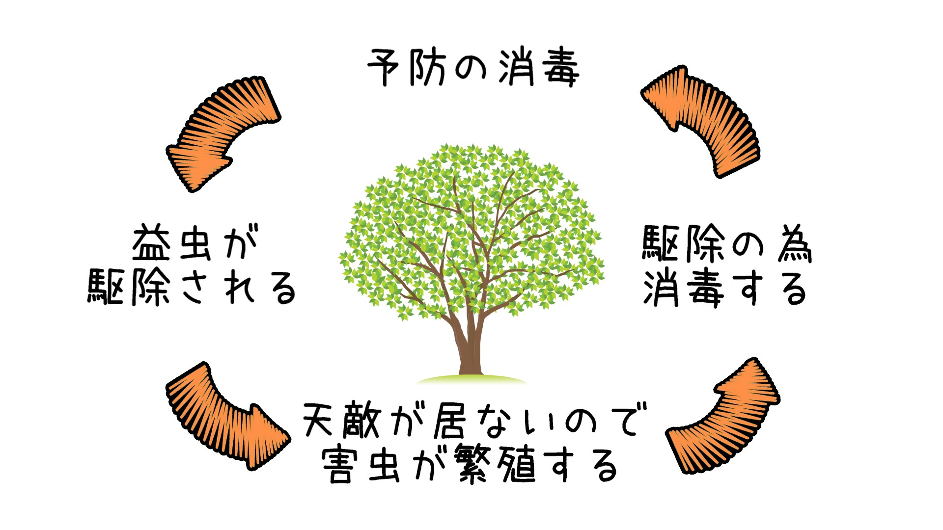 庭木の消毒はどこまで必要か