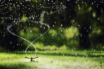 watering florida lawn