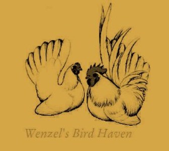 Wenzel's Birdhaven  show bantams