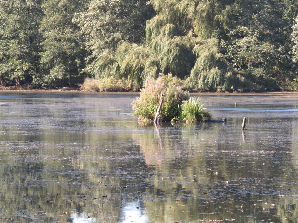 Haus Der Natur Verein Jordsand