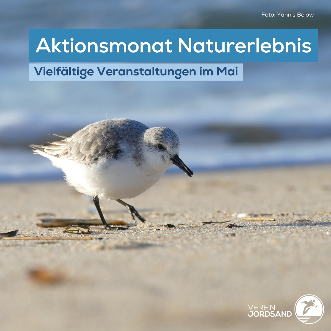Aktionsmonat Naturerlebnis in Schleswig-Holstein