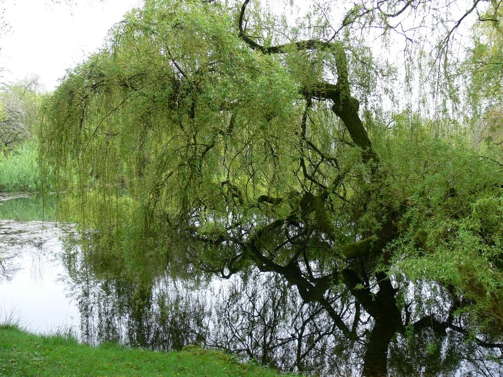 Haus Der Natur Verein Jordsand