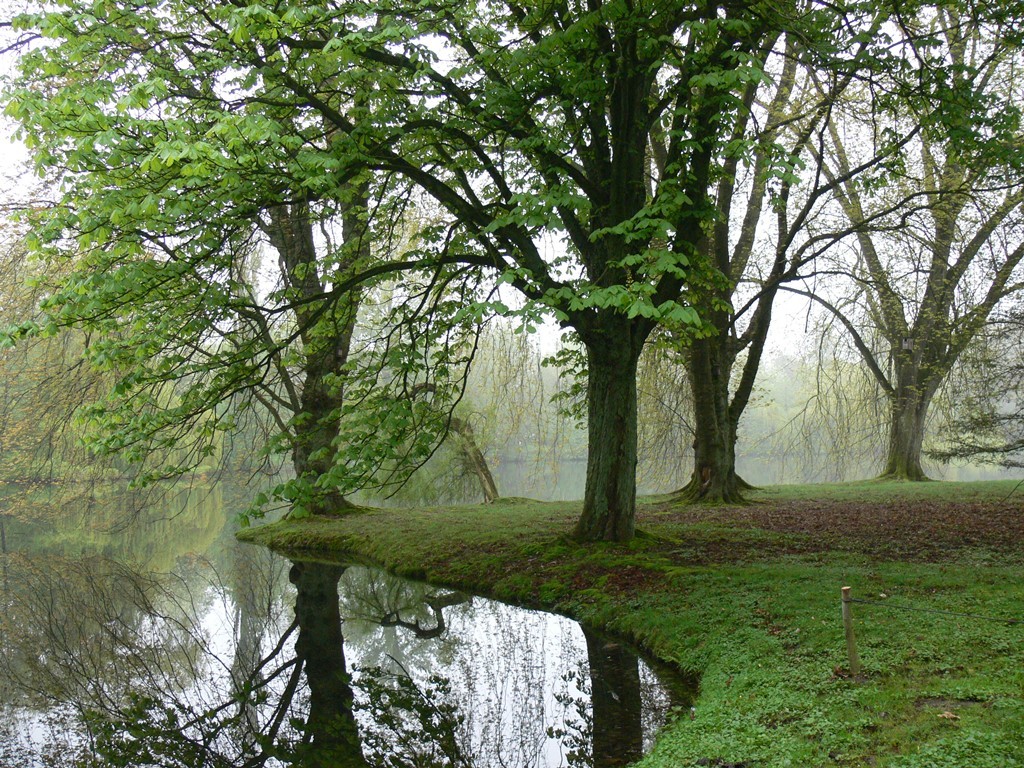 Haus Der Natur Verein Jordsand