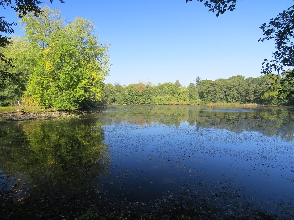 Haus Der Natur Verein Jordsand