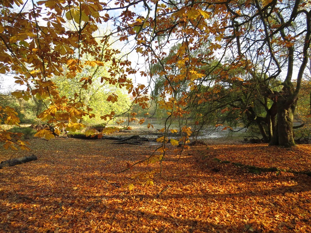 Haus Der Natur Verein Jordsand