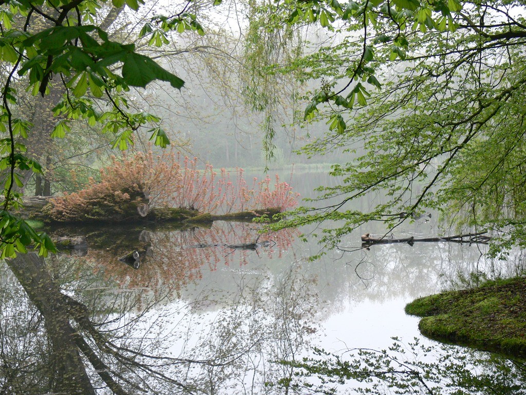 Haus Der Natur Verein Jordsand